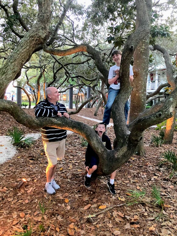 30a guests playing with dad in seaside florida tree